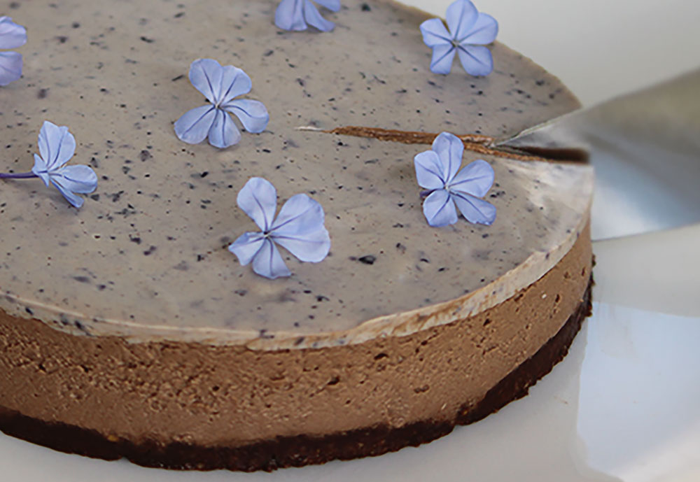 paleo-double-chocolate-and-blueberry-cheesecake-2