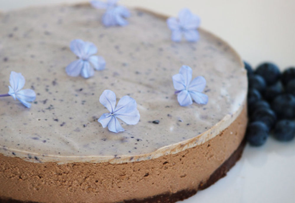 paleo-double-chocolate-and-blueberry-cheesecake-4