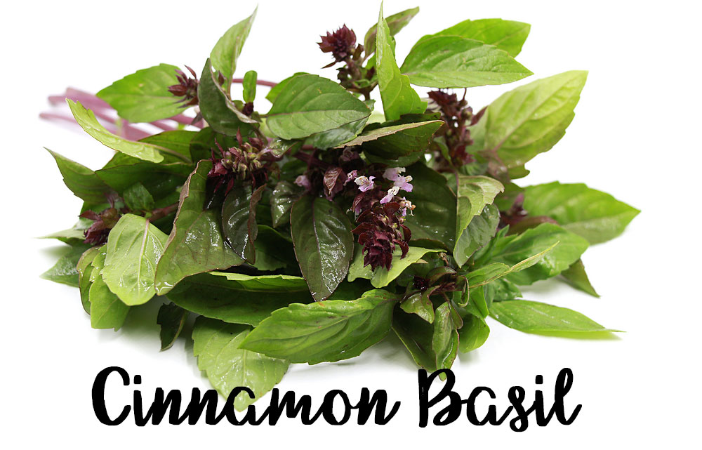 7 Types of Incredible Basil You Can Grow Their Different