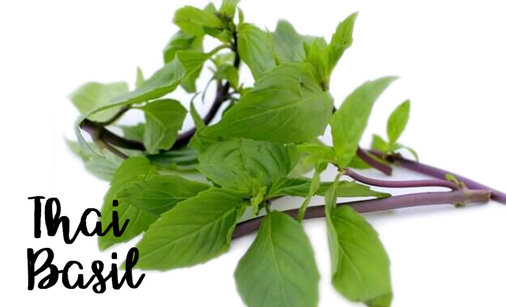 7 Types of Incredible Basil You Can Grow Their Different