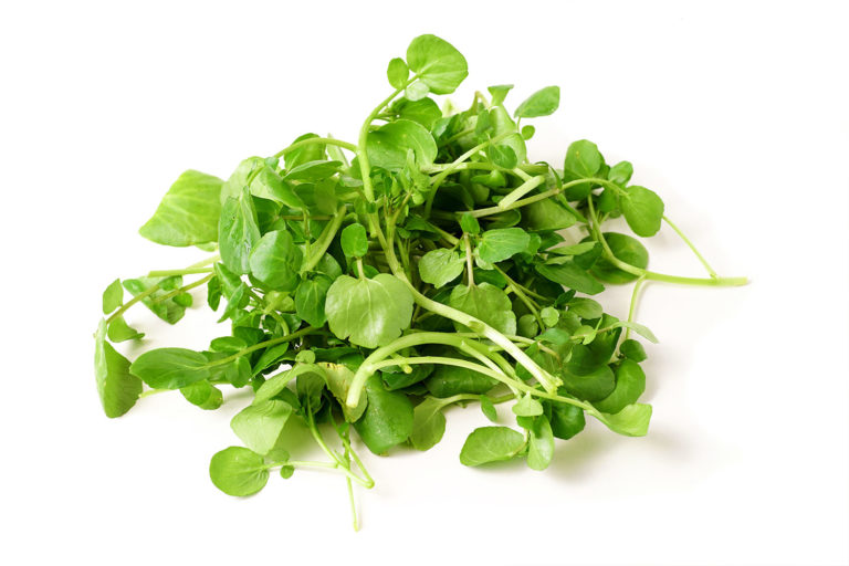 IncrEdible Spotlight - Watercress - The Healthy Patch