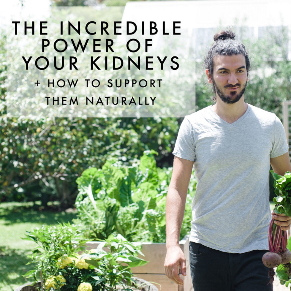 The incredible power of your kidneys + how to support them naturally